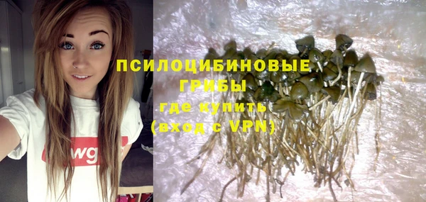 винт Аркадак