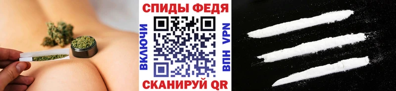 Купить закладки  Новодвинск  Первитин витя 