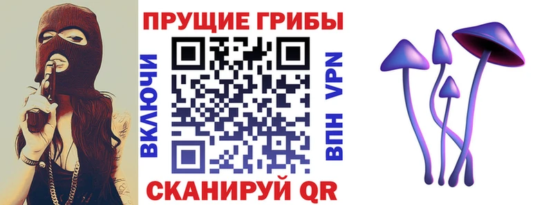 Псилоцибиновые грибы мицелий  Купить закладки  Новодвинск 